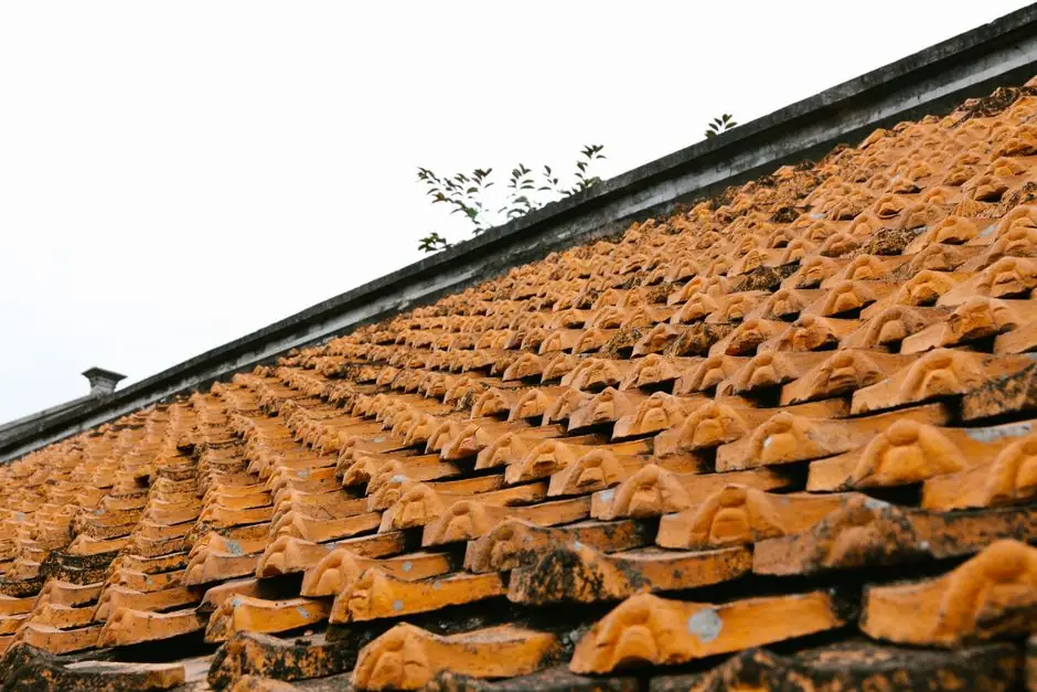 Arizona Roofing Pros ready to serve Pine