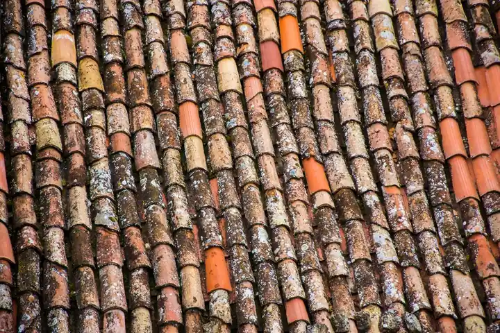 Arizona Roofing Pros team
