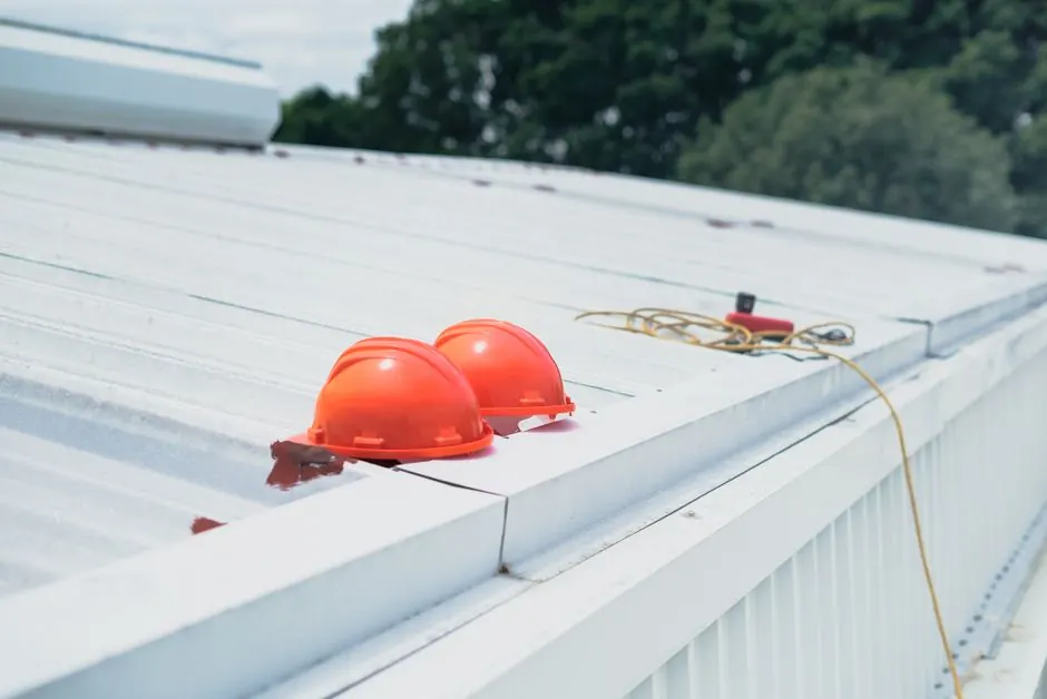 Roof Inspection in Alpine