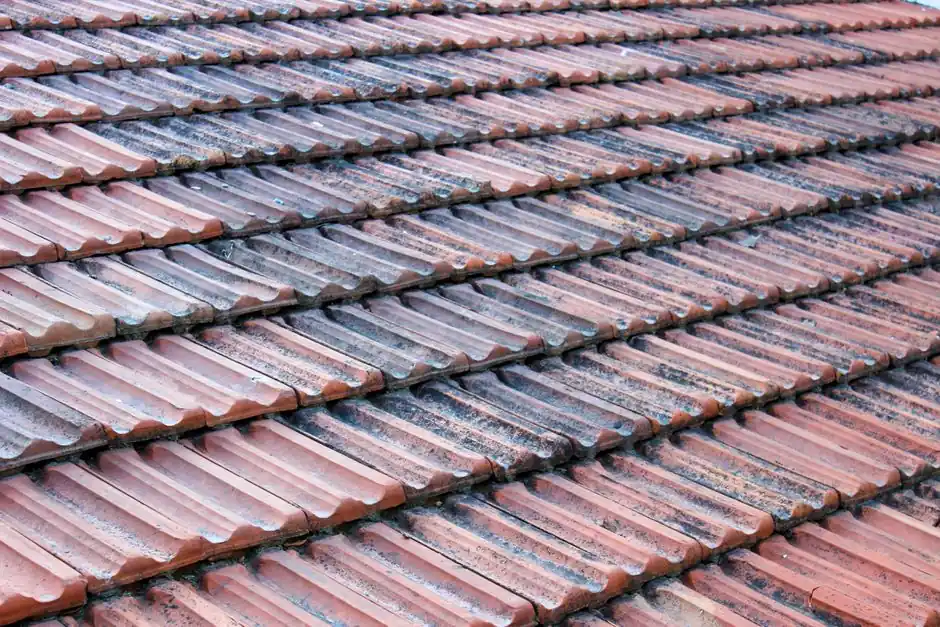 Arizona Roofing Pros team