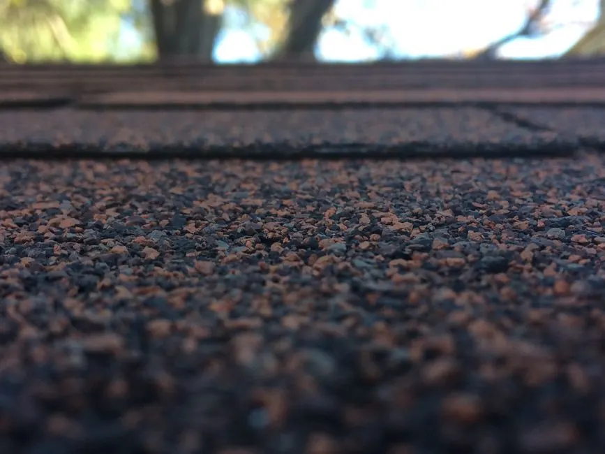 Shingle Roofing in Alpine